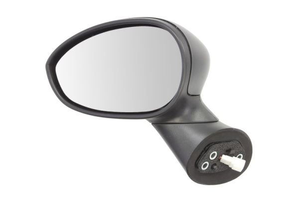 BLIC 5402-04-1125933 Exterior Mirror