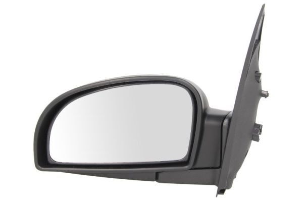 BLIC 5402-04-1127121 Exterior Mirror