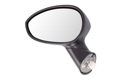 Exterior Mirror BLIC 5402-04-1127933