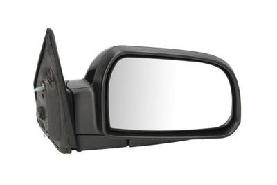 Exterior Mirror BLIC 5402-04-1128132