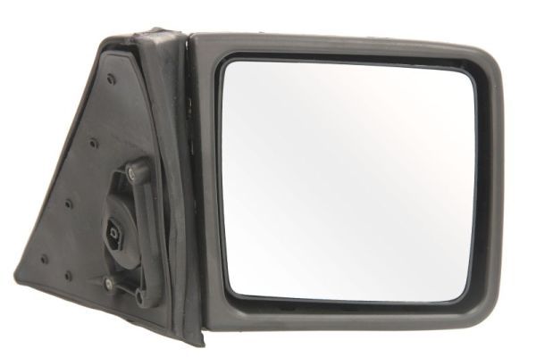 BLIC 5402-04-1128524 Exterior Mirror
