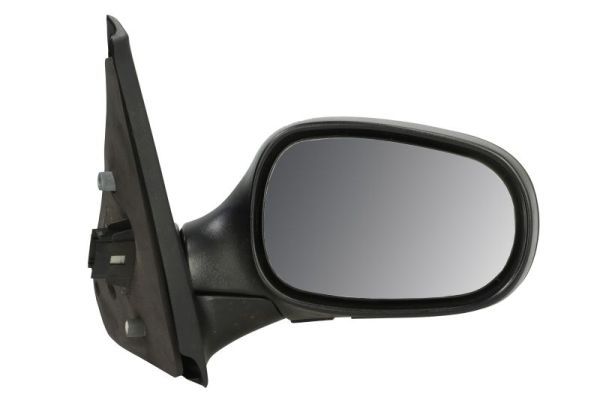 BLIC 5402-04-1129112P Exterior Mirror
