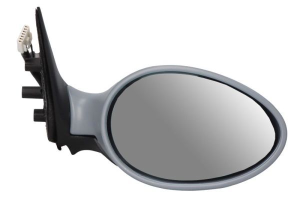 BLIC 5402-04-1129273 Exterior Mirror