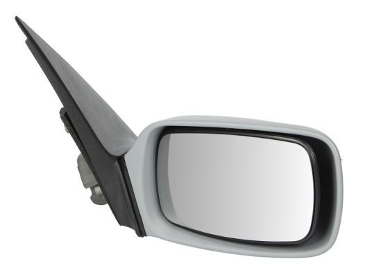 BLIC 5402-04-1129299 Exterior Mirror