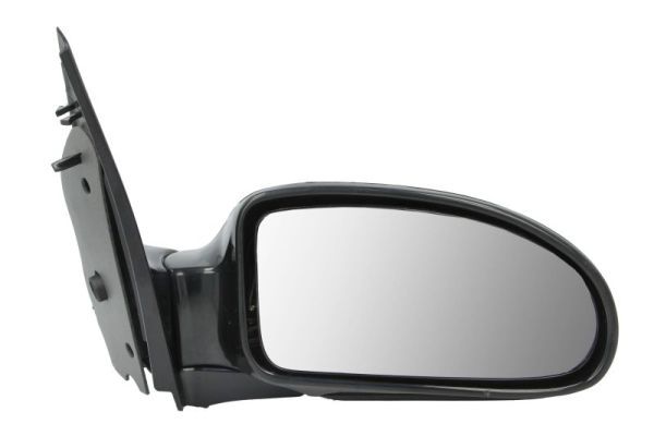 BLIC 5402-04-1129399 Exterior Mirror