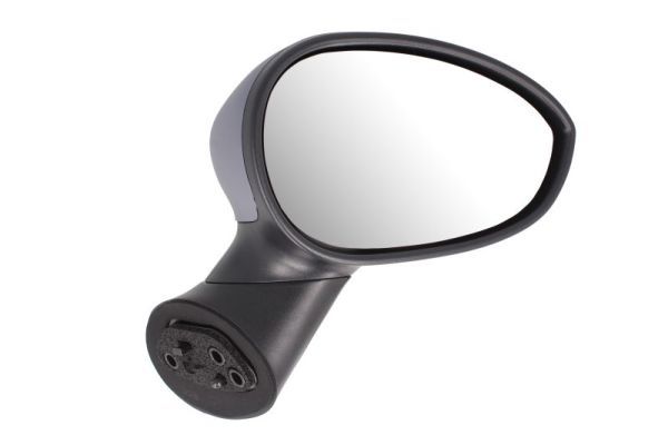 BLIC 5402-04-1129933 Exterior Mirror