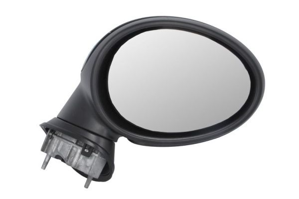 BLIC 5402-04-1129934P Exterior Mirror