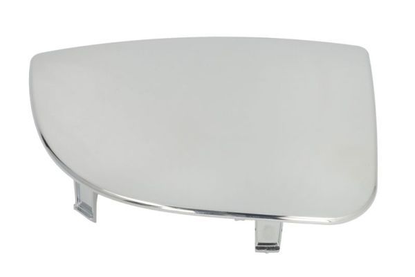 BLIC 5402-04-1131116P Mirror Glass, exterior mirror