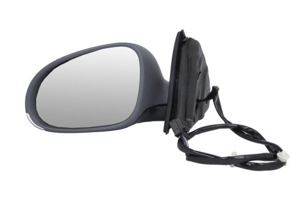 BLIC 5402-04-1131121P Exterior Mirror