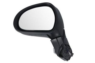 Exterior Mirror BLIC 5402-04-1131281P