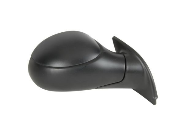 BLIC 5402-04-1131851 Exterior Mirror