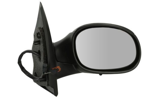 BLIC 5402-04-1131853 Exterior Mirror