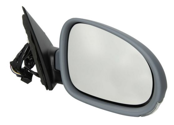BLIC 5402-04-1132118 Exterior Mirror