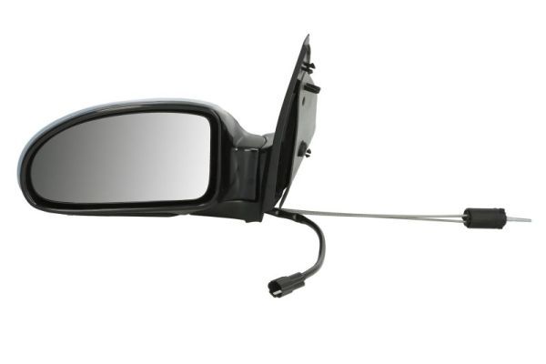 BLIC 5402-04-1133399P Exterior Mirror