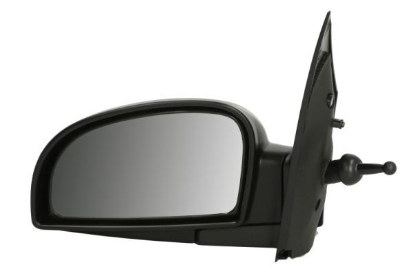 BLIC 5402-04-1137121 Exterior Mirror