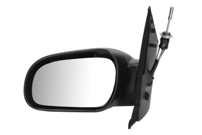 Exterior Mirror BLIC 5402-04-1137191P
