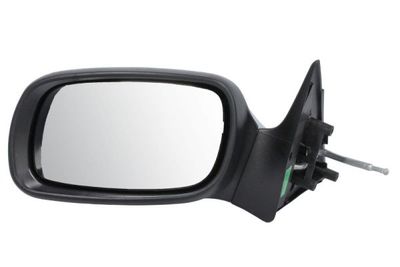 Exterior Mirror BLIC 5402-04-1137231P