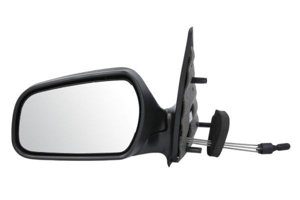 BLIC 5402-04-1137313 Exterior Mirror