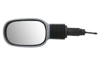 Exterior Mirror BLIC 5402-04-1137382P