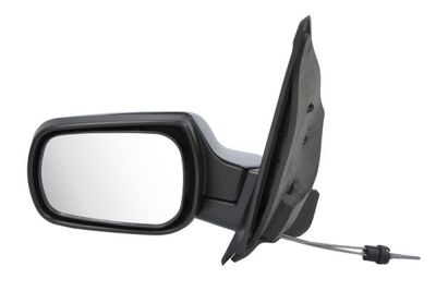 Exterior Mirror BLIC 5402-04-1137387