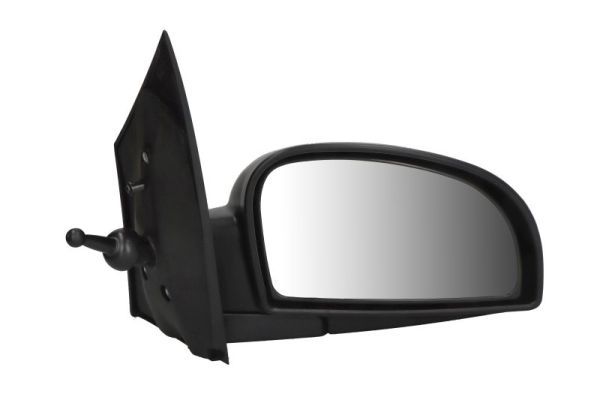 BLIC 5402-04-1138121 Exterior Mirror