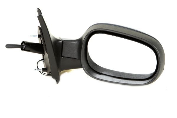 BLIC 5402-04-1138219P Exterior Mirror