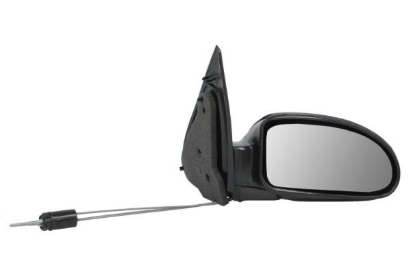 BLIC 5402-04-1138399P Exterior Mirror