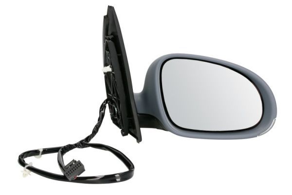 BLIC 5402-04-1139128P Exterior Mirror