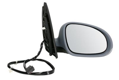 Exterior Mirror BLIC 5402-04-1139128P