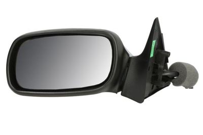 Exterior Mirror BLIC 5402-04-1139234P