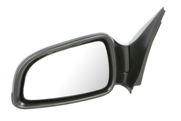 BLIC 5402-04-1139237P Exterior Mirror