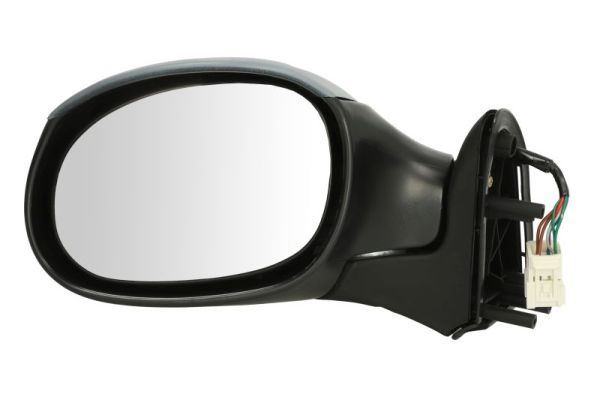 BLIC 5402-04-1139312 Exterior Mirror