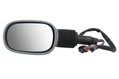 Exterior Mirror BLIC 5402-04-1139382P