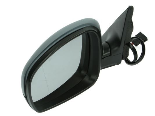 BLIC 5402-04-1139559P Exterior Mirror