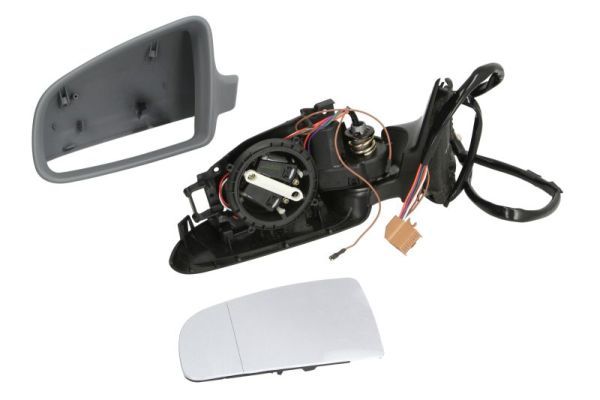 BLIC 5402-04-1139593 Exterior Mirror