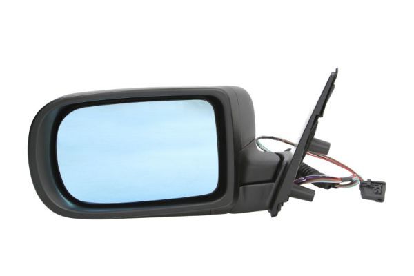 BLIC 5402-04-1139824 Exterior Mirror
