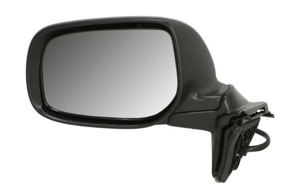 BLIC 5402-04-1139956P Exterior Mirror