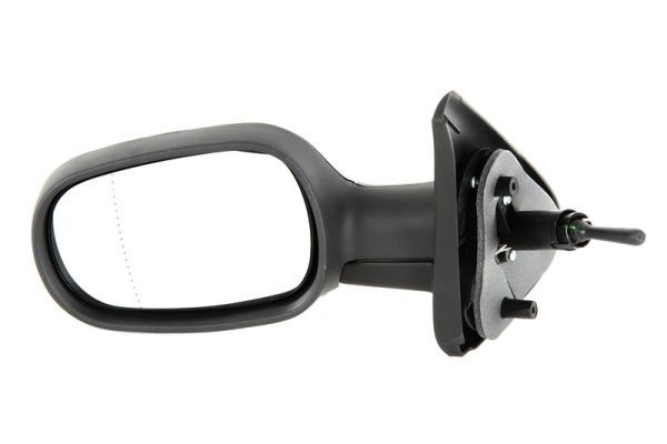 BLIC 5402-04-1191219P Exterior Mirror