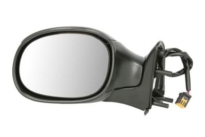 Exterior Mirror BLIC 5402-04-1191339