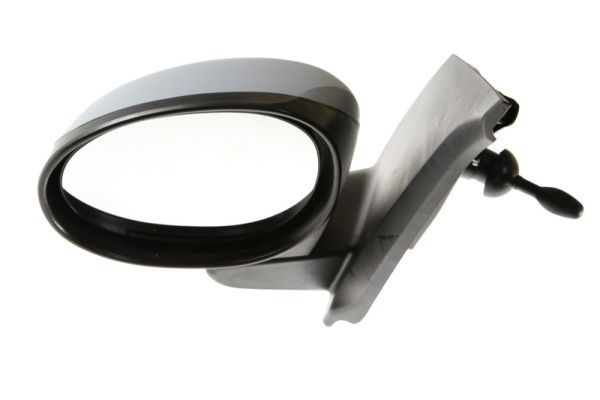 BLIC 5402-04-1191857P Exterior Mirror