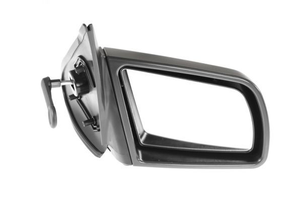 BLIC 5402-04-1192231P Exterior Mirror