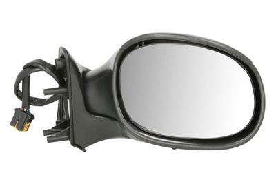 Exterior Mirror BLIC 5402-04-1192339