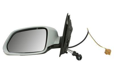 Exterior Mirror BLIC 5402-04-1199111P