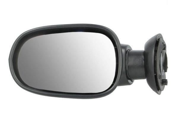 BLIC 5402-04-1199599P Exterior Mirror