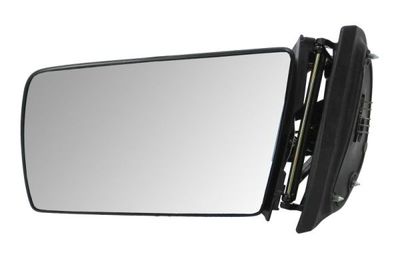 Exterior Mirror BLIC 5402-04-1325529