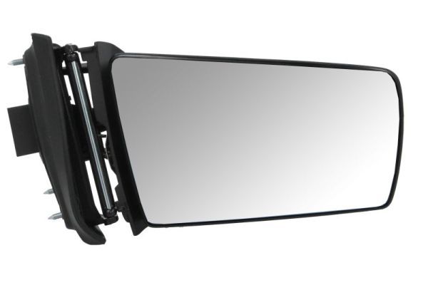 BLIC 5402-04-1328539 Exterior Mirror