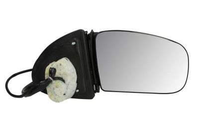 Exterior Mirror BLIC 5402-04-1331792