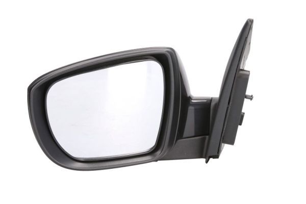 BLIC 5402-04-1502201P Exterior Mirror