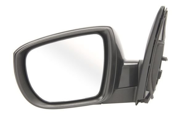 BLIC 5402-04-1502203P Exterior Mirror