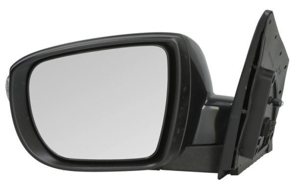 BLIC 5402-04-1502207P Exterior Mirror
